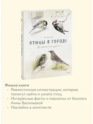 Птицы в городе. Где найти и как узнать. Васильева Анна - «Книга, с которой  птиц можно не только рассмотреть, но и послушать» | отзывы