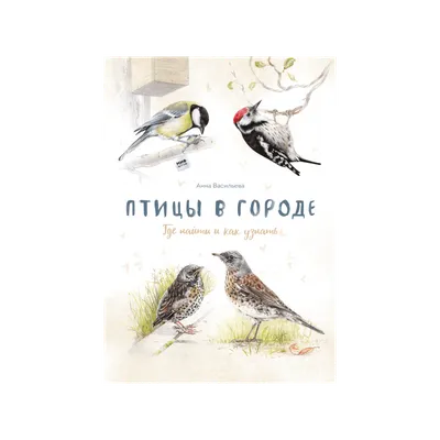 Птицы в городе. Дикие птицы и пруд Стоковое Изображение - изображение  насчитывающей самомоднейше, элегантность: 195063653