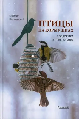 Мастер-класс. Как делать разные кормушки и чем правильно кормить птиц