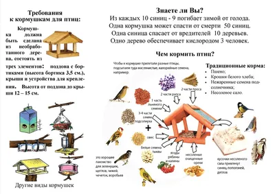 Кормушка для птиц \"Теремок Синицы\" – купить за 1500 руб | Арт Кормушка РФ  Кормушки для птиц, скворечники от производителя