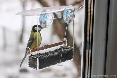 Дикая сетчатая металлическая подвесная сова в форме металлической кормушки  для птиц садовый декор - купить с доставкой по выгодным ценам в  интернет-магазине OZON (1333630643)