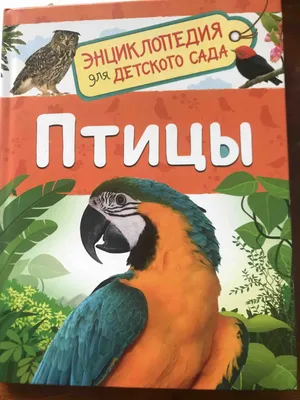 Птицы. Энциклопедия для детского сада – купить по лучшей цене на сайте  издательства Росмэн