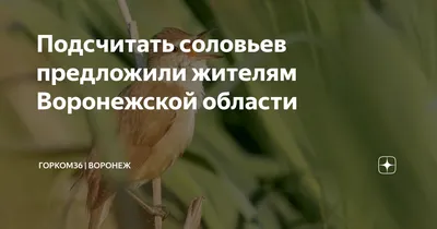 Жителей Воронежской области призвали не покупать птиц на Благовещение —  Интернет-канал «TV Губерния»