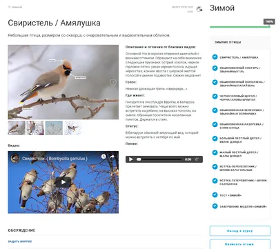 В Байкальском заповеднике подвели итоги сезона кольцевания птиц - Новости  РГО