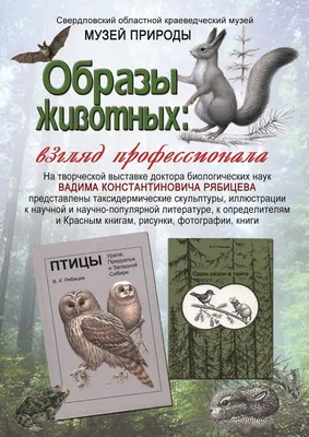 А.И. Янушевич . Промысловые звери и птицы Западной Сибири и охота на них  купить в антикварном салоне АртАнтик