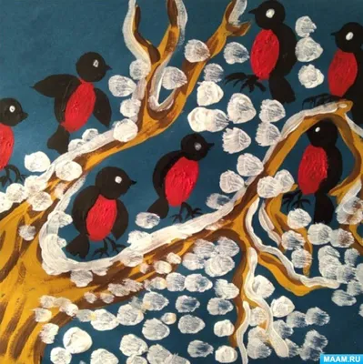 Костромской заповедник опубликовал подборку фотографий зимующих птиц:  любуемся | 18.01.2022 | Кострома - БезФормата