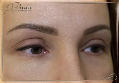 Пудровые брови в Днепре, цены на пудровое напыление бровей Beauty look