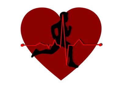 Красное Сердце С Белым Значком Пульсовой Линии Для Дизайна Пульс Сердца  Сердцебиение Одинокое Кардиограмма Здоровый Образ Жизни Кардио — стоковая  векторная графика и другие изображения на тему Аварии и катастрофы - iStock