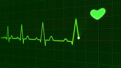 Сердце и пульс Cardiogram. Иллюстрация вектора контур Иллюстрация вектора -  иллюстрации насчитывающей кардиолог, конструкция: 190842562