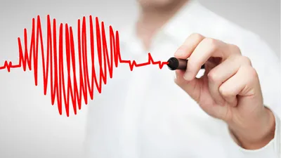 Сердечный Пульс Сердце Медицинский - Бесплатная векторная графика на  Pixabay - Pixabay