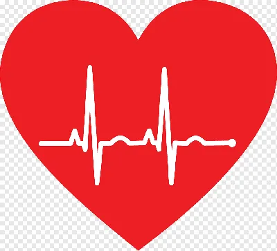 Электрокардиограмма пульс пульс фон сердца Иллюстрация штока - иллюстрации  насчитывающей кардиограмма, медицинско: 156080975
