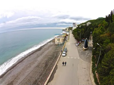 фотографии Алушта Профессорский уголок