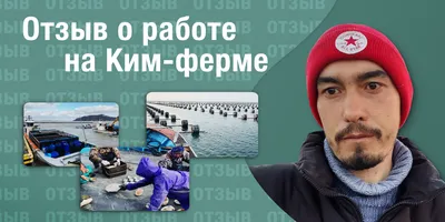 РАБОТА НА ЗАВОДЕ DHC В КОРЕЕ. ВСЕ ПЛЮСЫ И МИНУСЫ. - YouTube