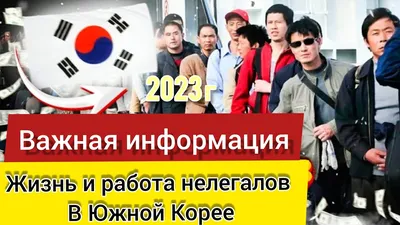 Как найти работу в Южной Корее 2022 || работа в южной корее - YouTube