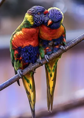 Средний радужный попугай на дереве» — создано в Шедевруме