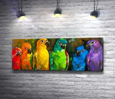 Волнистый радужный попугай, самец – купить в Москве, цена 3 000 руб.,  продано 20 мая 2019 – Птицы