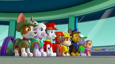 Машинка Paw Patrol с Райдером 6060755 купить по цене 199 ₽ в  интернет-магазине Детский мир