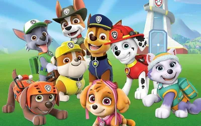 Paw Patrol Щенячий патруль: Спаситель-брызгалка Зик Райдер купить в  интернет магазине с доставкой по Украине | MYplay