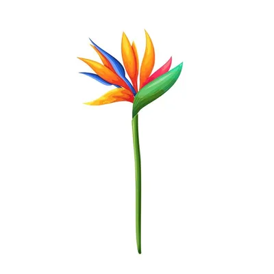 Цветок или райская птица крана Стоковое Изображение - изображение  насчитывающей зеленый, естественно: 68088213