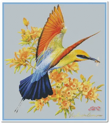 Лучшие идеи (150) доски «Райские птицы» | райские птицы, птицы, рисунки