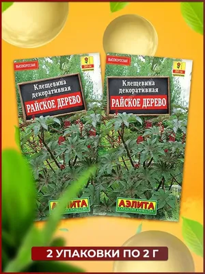 Авторский десерт «Райское дерево» от шеф-повара Алексея Павлова / Новости /  London Restaurant Group