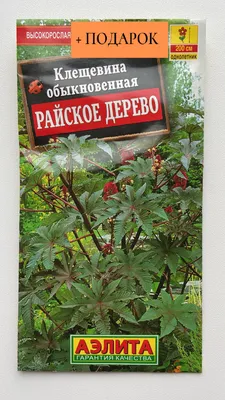 Декоративное райское дерево (ID#1682095587), цена: 499 ₴, купить на Prom.ua