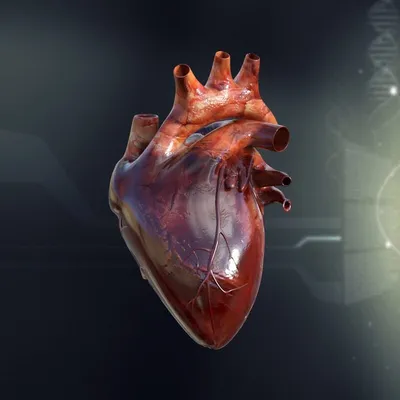Рак сердца - существует ли? | DO I WANNA KNOW? | Дзен