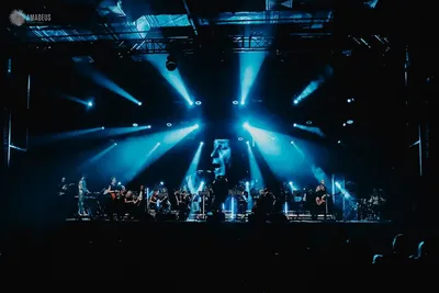 Красноярка поделилась впечатлениями от концерта Rammstein - 18 июля 2019 -  НГС24