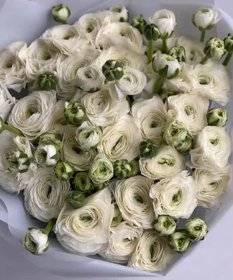 Ранункулюсы белые с эвкалиптом и сухоцветами - купить в Москве | Flowerna