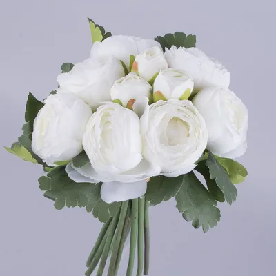 Цветок ранункулюс. Цвет белый. Диаметр цветка 6 см.
