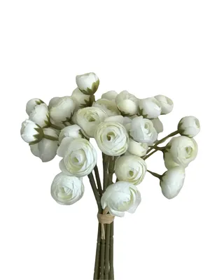 Ранункулюс (Лютик) \"Белый\" заказать с доставкой в Новороссийске в интернет  магазине цветов Роз Новоросс