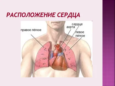 Что значит ЭОС, отклонение влево, вправо, вертикальная, горизонтальная.