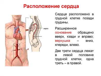 Между прочим