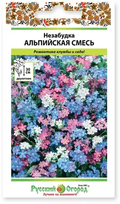 Цветы Незабудка Альпийская смесь (0,2г) - купить по выгодным ценам в Москве  и с доставкой по России