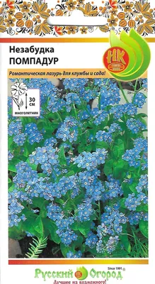 Семена незабудка Гавриш Синяя корзинка 55838 1 уп. - купить в Москве, цены  на Мегамаркет