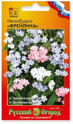 Незабудка Садовая Ундина – купить семена в интернет-магазине Лафа с  доставкой по Москве, Московской области и России
