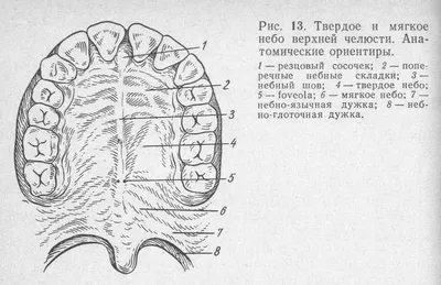 Имплантация зубов при врожденной расщелине губы | НК Клиник