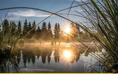 Рассвет на озере | ФОТОВЫСТАВКА