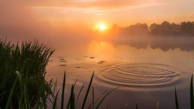 Рассвет на озере :: Сергей Фомин – Социальная сеть ФотоКто