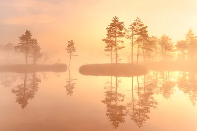 Бесплатное изображение: отражение, закат, вода, рассвет, озеро, дерево,  вечер, сумерки, на открытом воздухе, природа