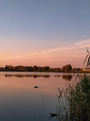 Dawn on the Danilovo lake. / Рассвет на озере Данилово. | Flickr