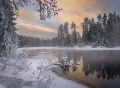 Ромашковый туманный рассвет на озере. #беларусь #природа #пейзаж #утро # рассвет #озеро #туман #лето #ромашки #belarus #instagram #europa… |  Instagram