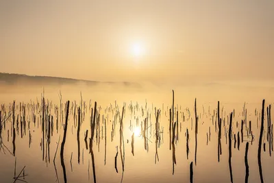 Пасмурный рассвет на озере Тёплое. Photographer Sergey Butorin