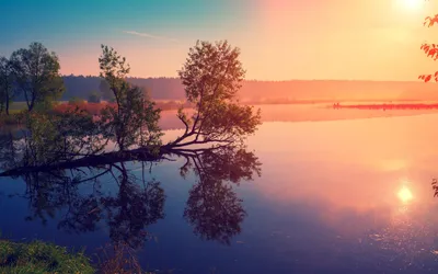 Купить картину Манговый рассвет на озере Эльтон в Москве от художника Olga  Neberos