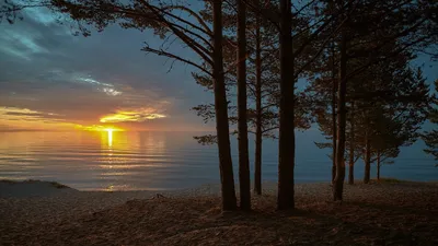 Бесплатное изображение: восход, на берегу озера, атмосфера, вода,  отражение, пейзаж, закат, озеро, рассвет, дерево