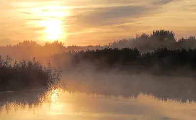 картинки : пейзаж, дерево, природа, гора, солнце, закат солнца, утро,  озеро, рассвет, река, лето, смеркаться, вечер, Сумерки, Размышления,  Спокойствие, Резервуар, Loch, британская Колумбия 5472x3648 - - 1192208 -  красивые картинки - PxHere