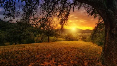 Красивый рассвет в осеннем лесу с рассветом солнца Стоковое Фото -  изображение насчитывающей мирно, среда: 157973674