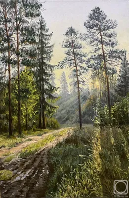 Рассвет в лесу :: Julia Novoselova – Социальная сеть ФотоКто