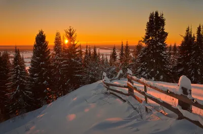 Лучи Рассвета Солнца В Зимнем Лесу. Фотография, картинки, изображения и  сток-фотография без роялти. Image 47941235