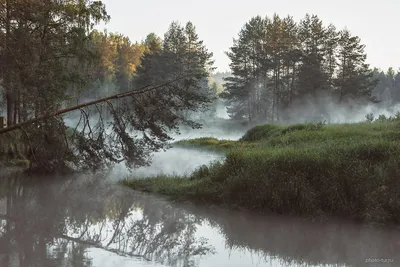 Рассвет в сосновом лесу у реки. Photographer Malishevi Vlad i Asya